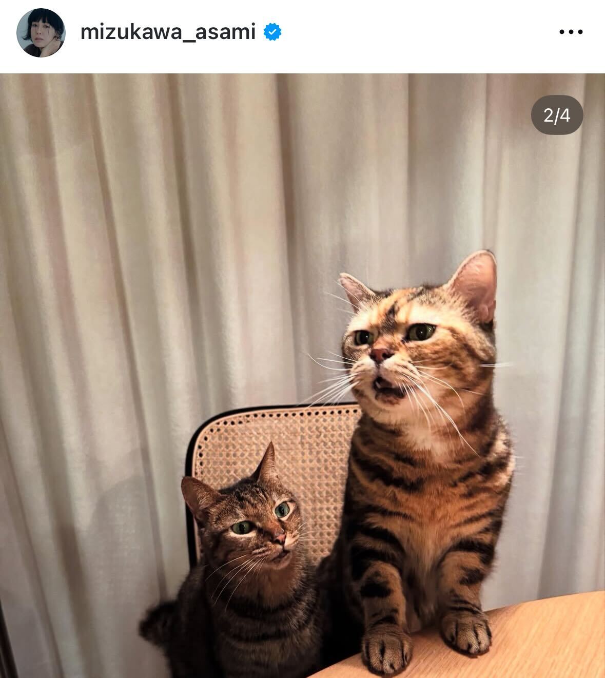 水川あさみのインスタグラムから
