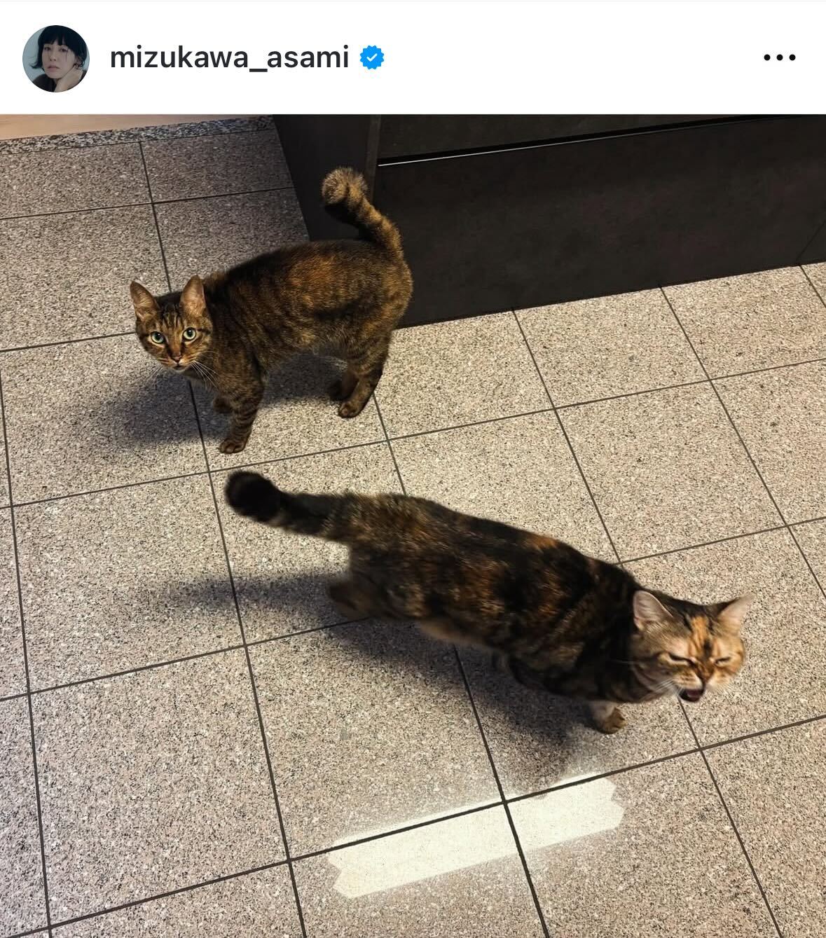 水川あさみのインスタグラムから