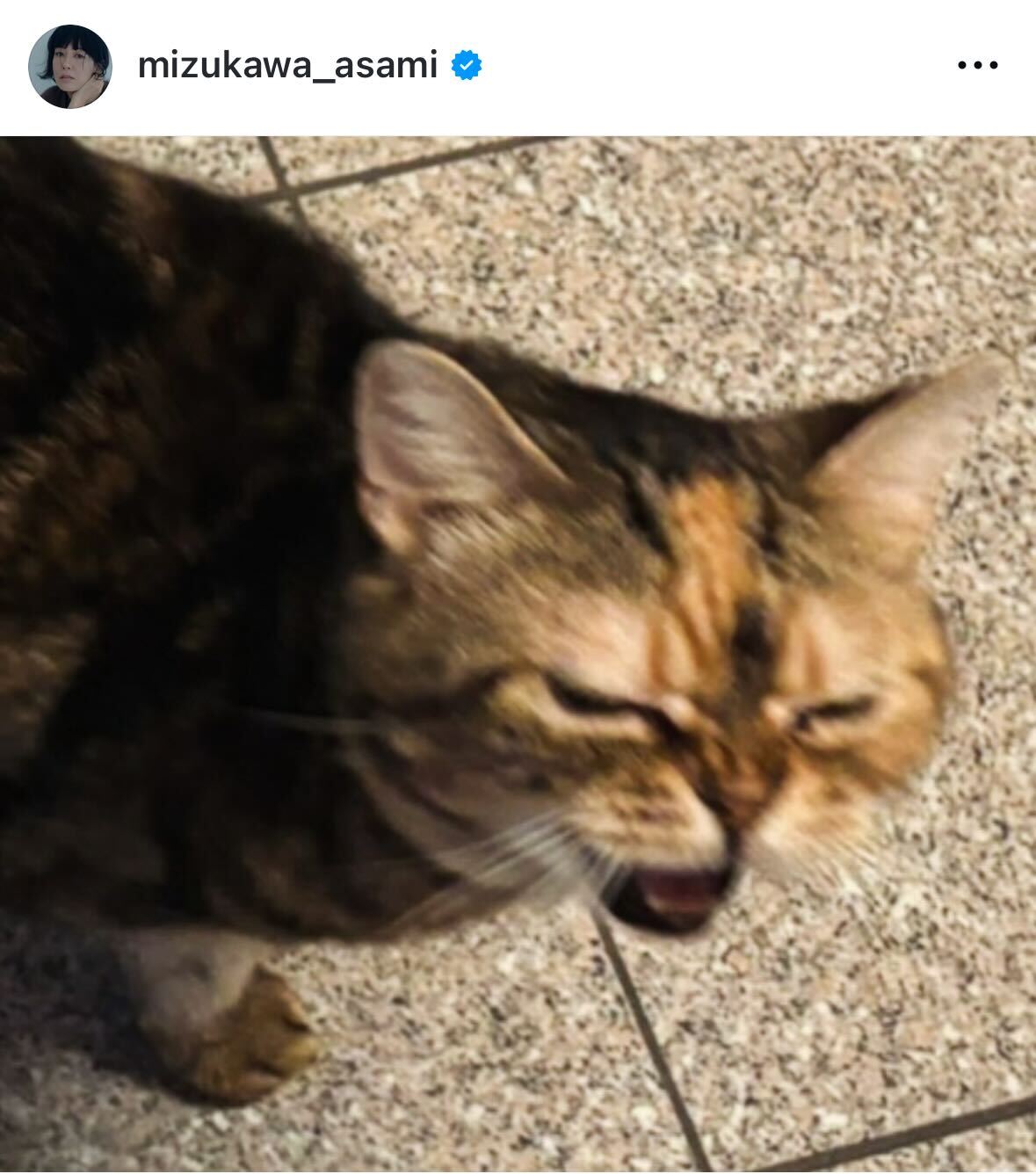 水川あさみのインスタグラムから