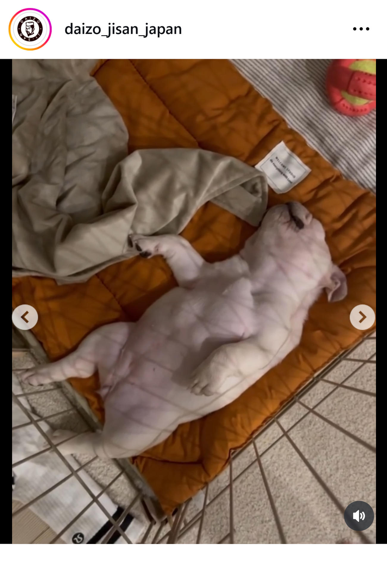 ケツメイシ大蔵のインスタグラムから