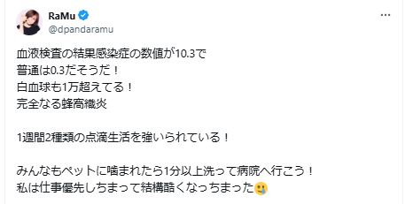 RaMuのXから