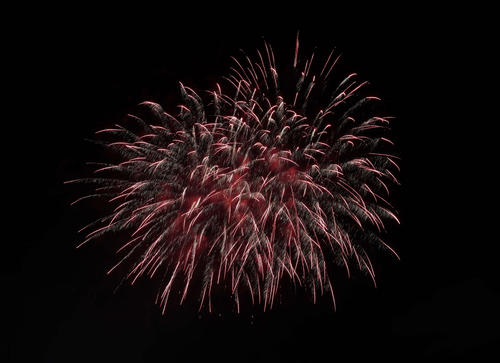 神宮の空に彩る花火（撮影・増田悦実）
