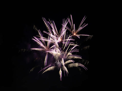 神宮の空に彩る花火（撮影・増田悦実）