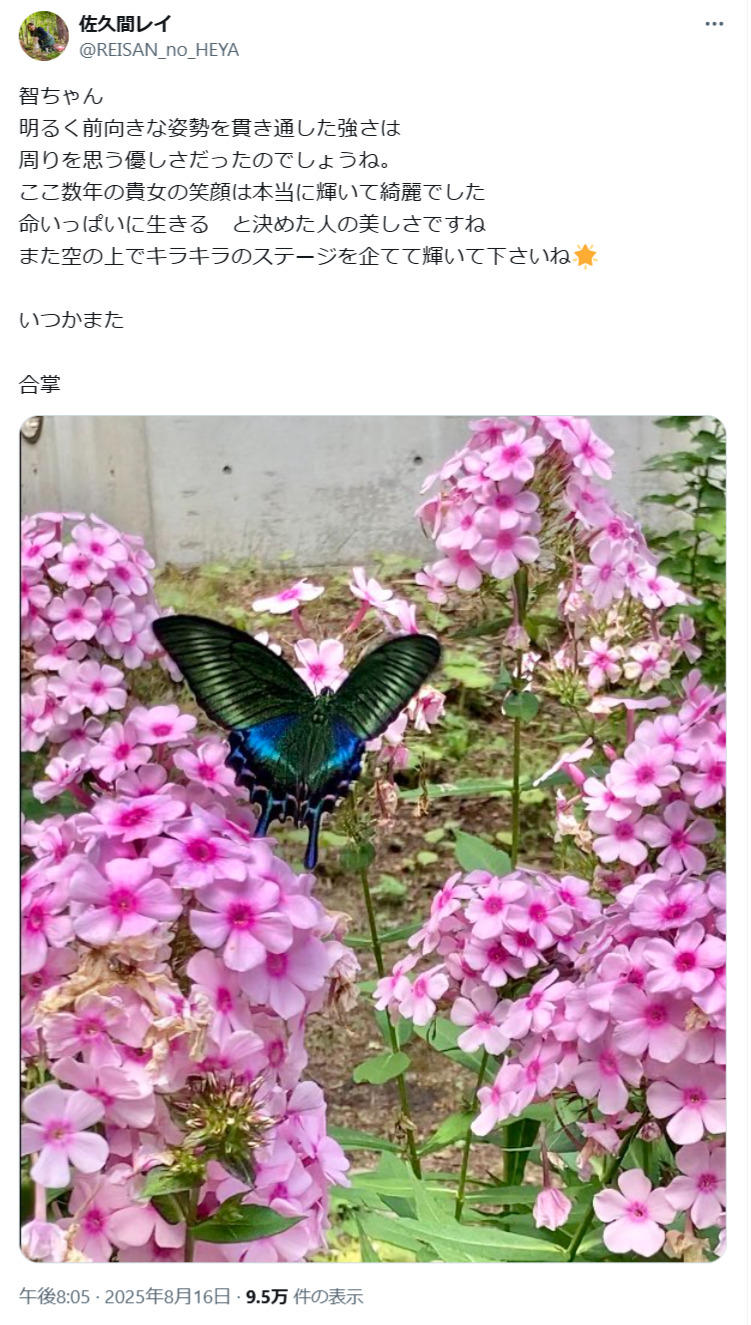 佐久間レイのXから