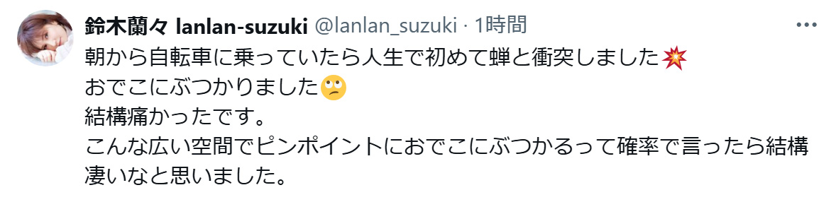 鈴木蘭々のXから