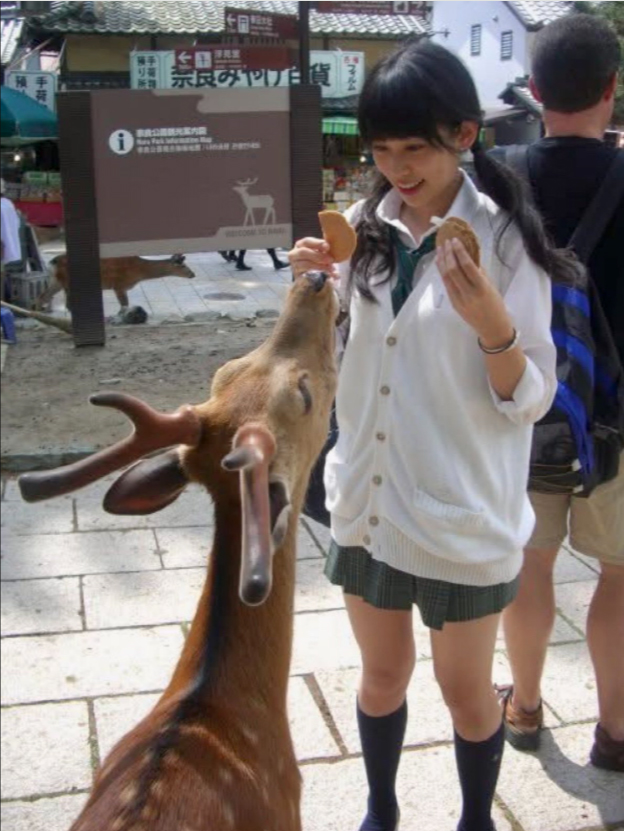 中川安奈のXから