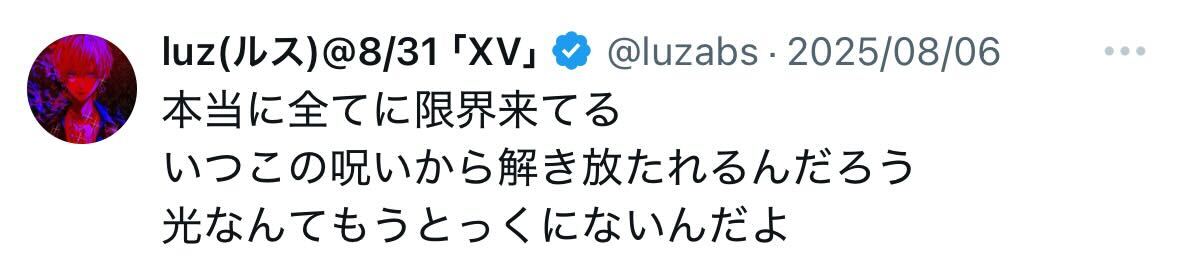 「本当に全てに限界」とつづったluzさんのX