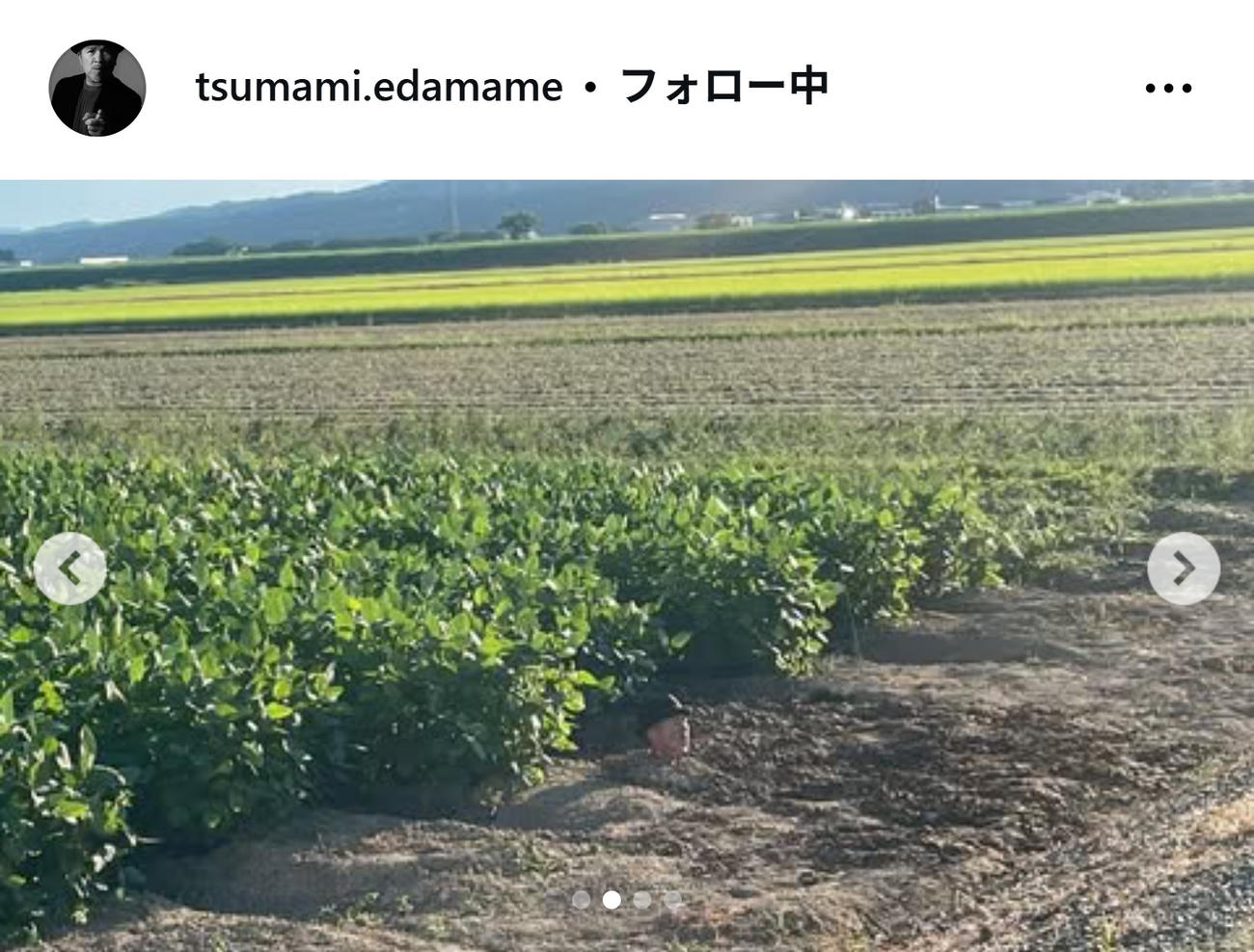 つまみ枝豆のインスタグラムから