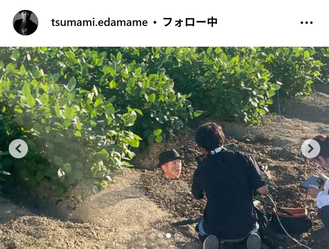 つまみ枝豆のインスタグラムから