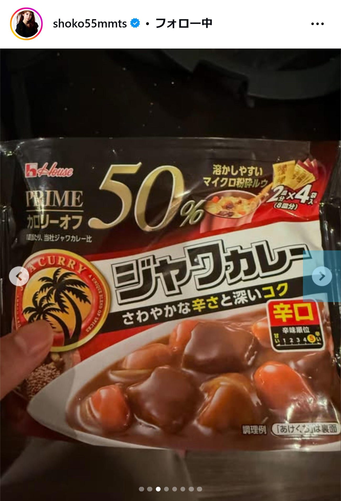 中川翔子のインスタグラムから