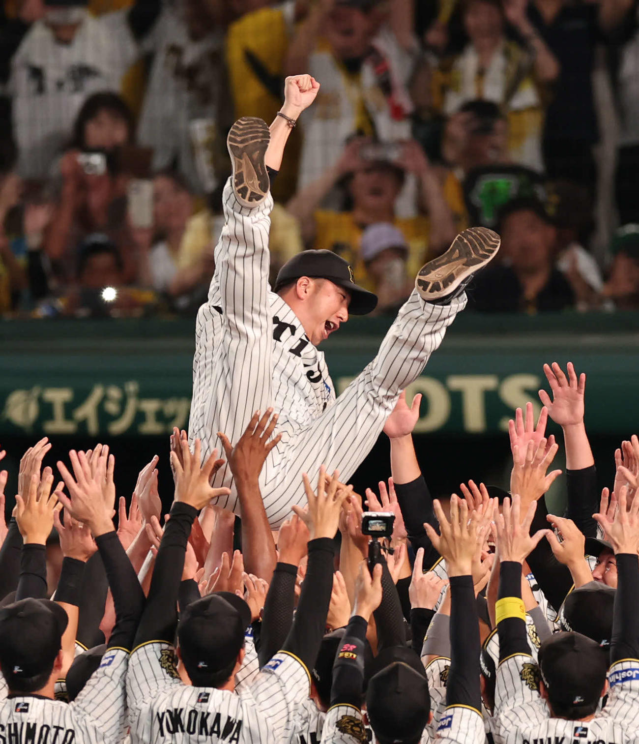 2025年9月7日、優勝が決まり胴上げされる阪神藤川球児監督（撮影・西尾就之）