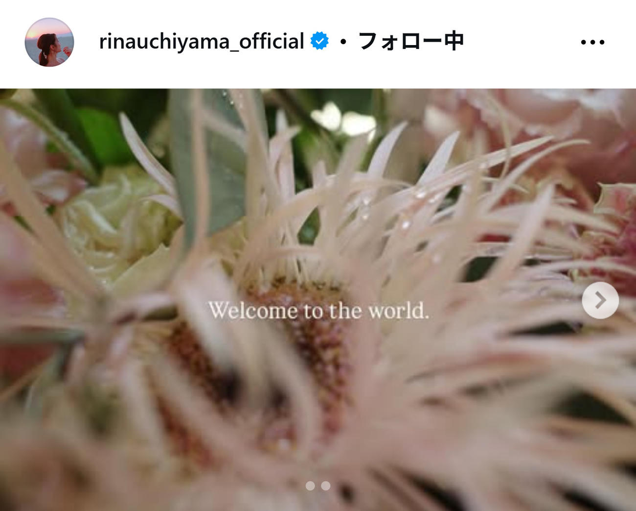 内山理名のインスタグラムから