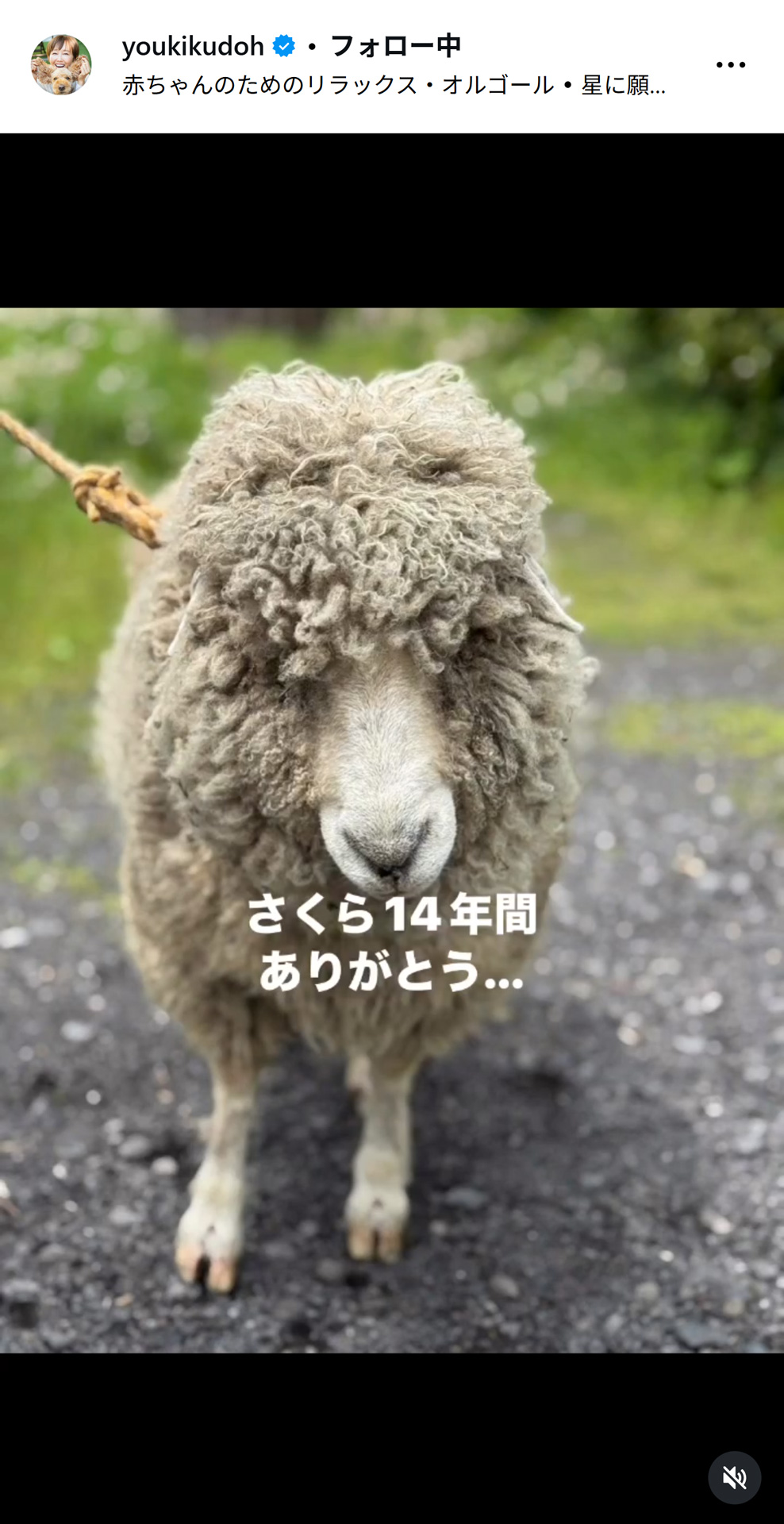 工藤静香のインスタグラムから