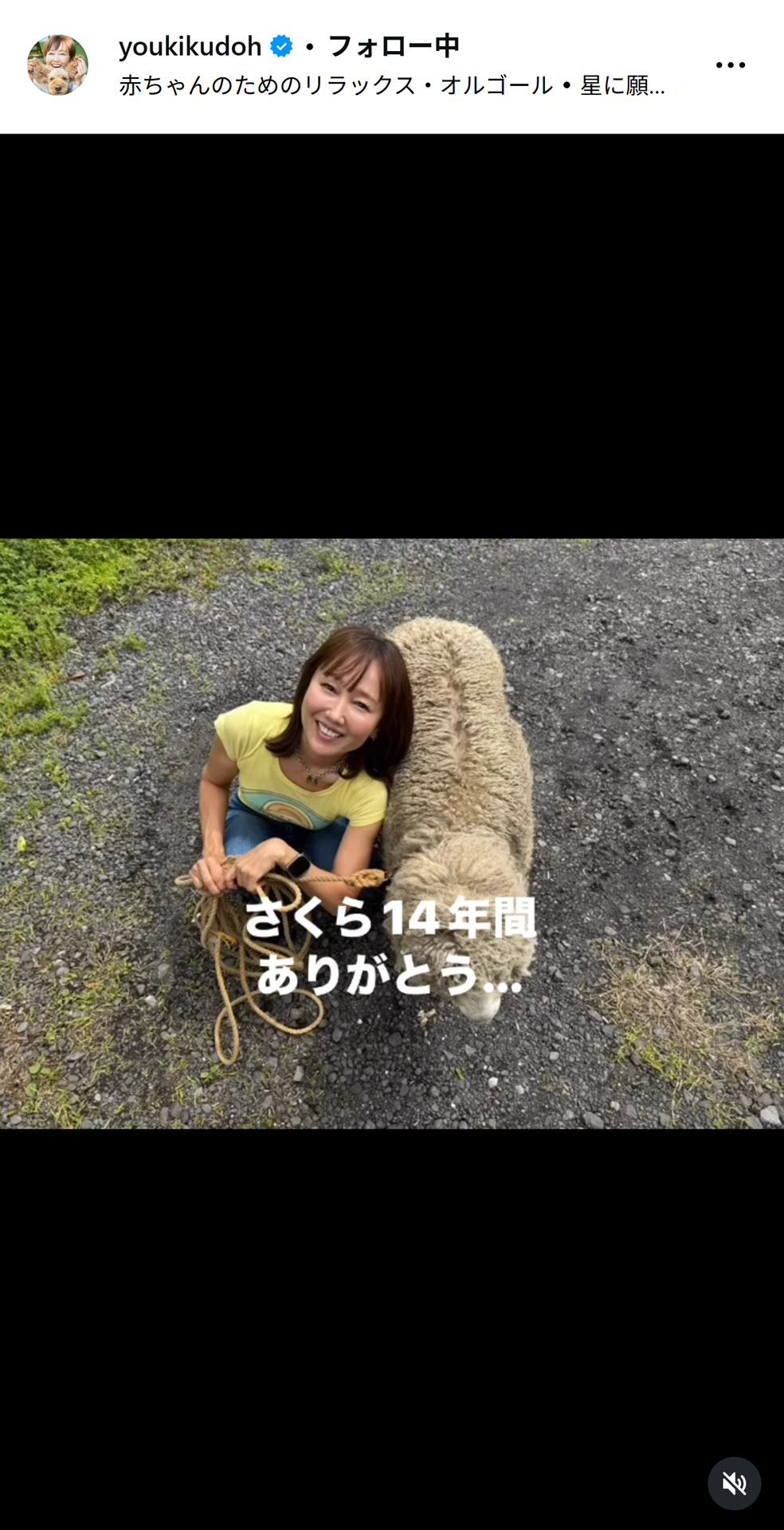 工藤静香のインスタグラムから