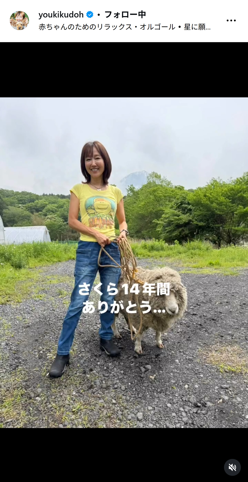 工藤静香のインスタグラムから
