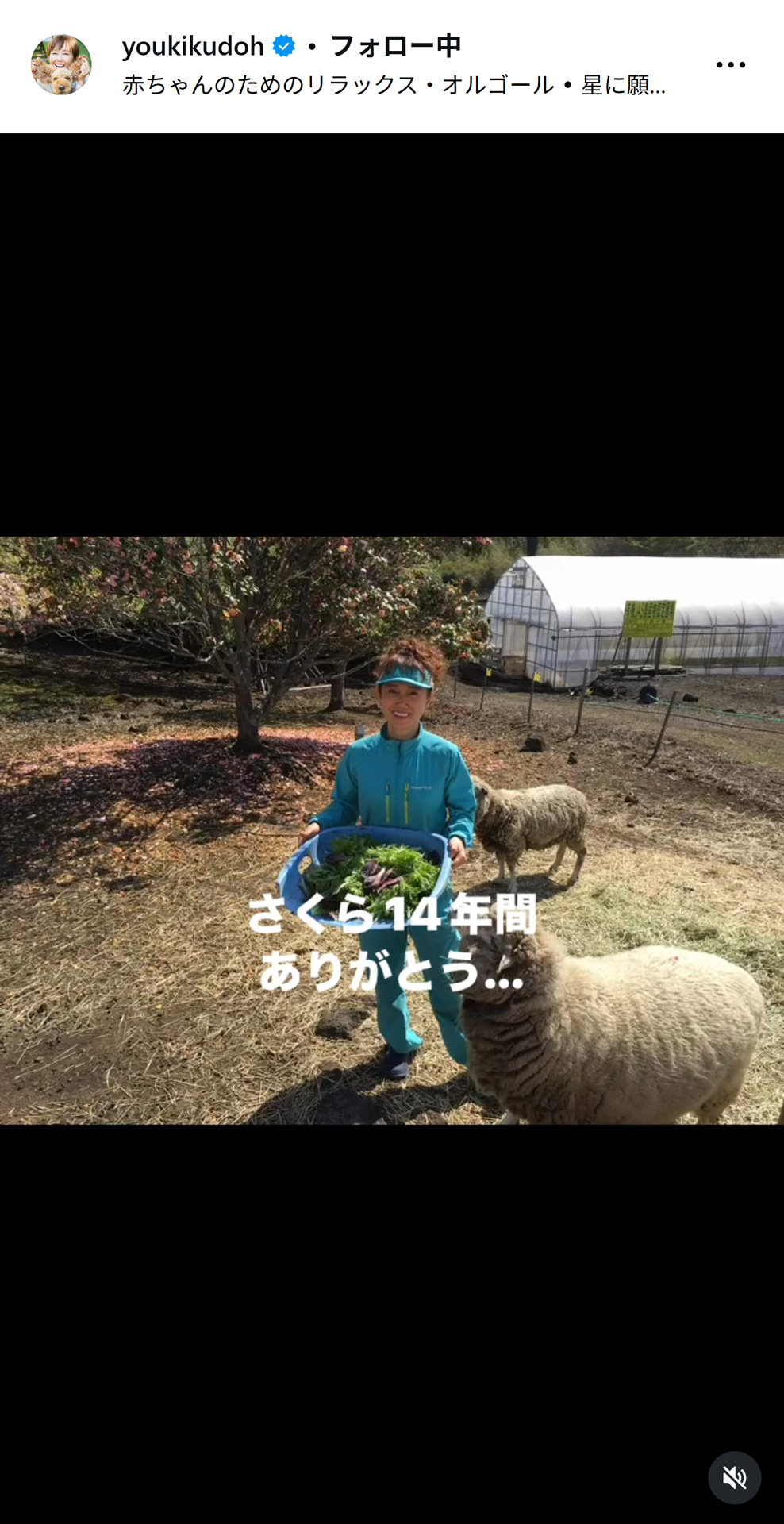 工藤静香のインスタグラムから