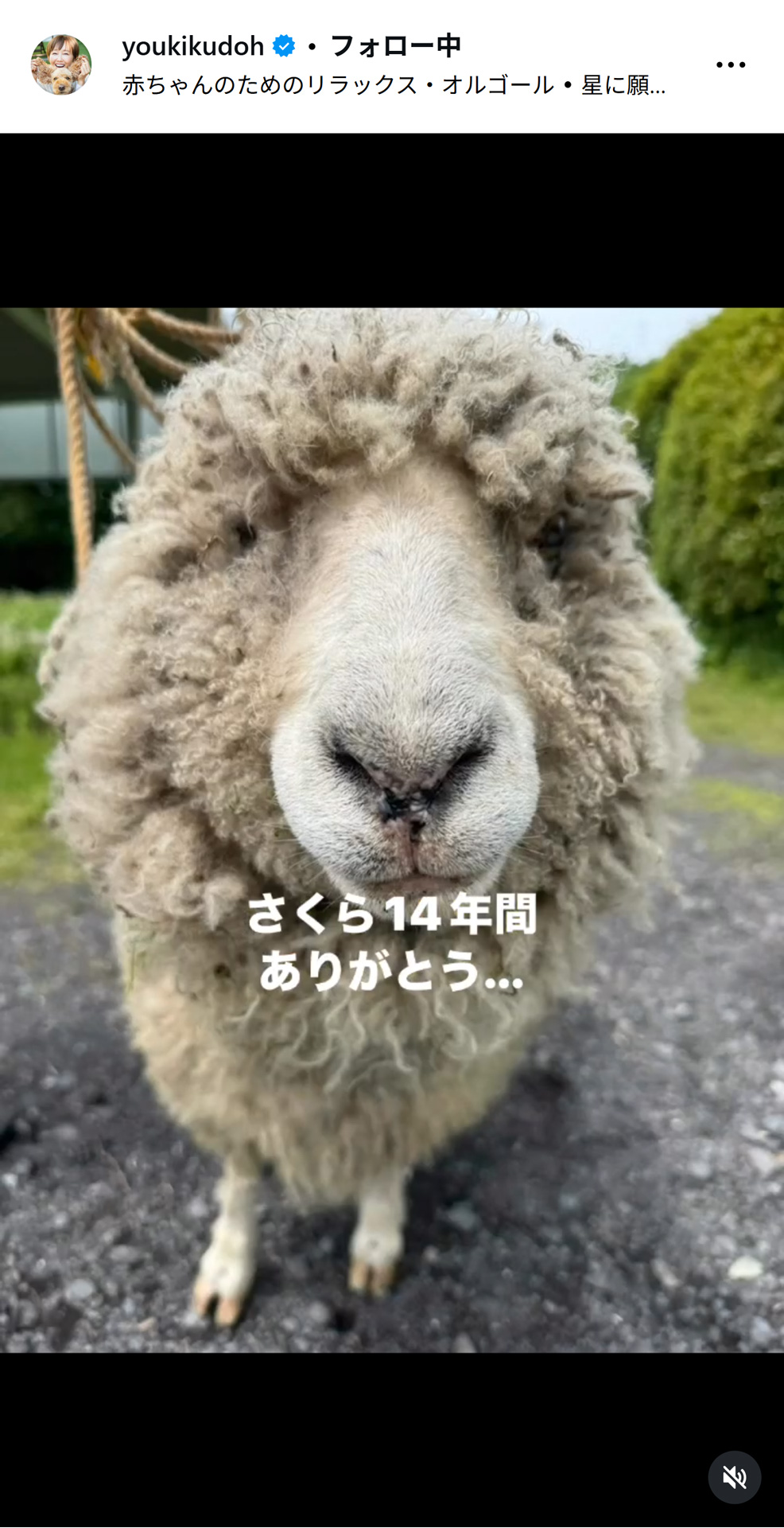 工藤静香のインスタグラムから