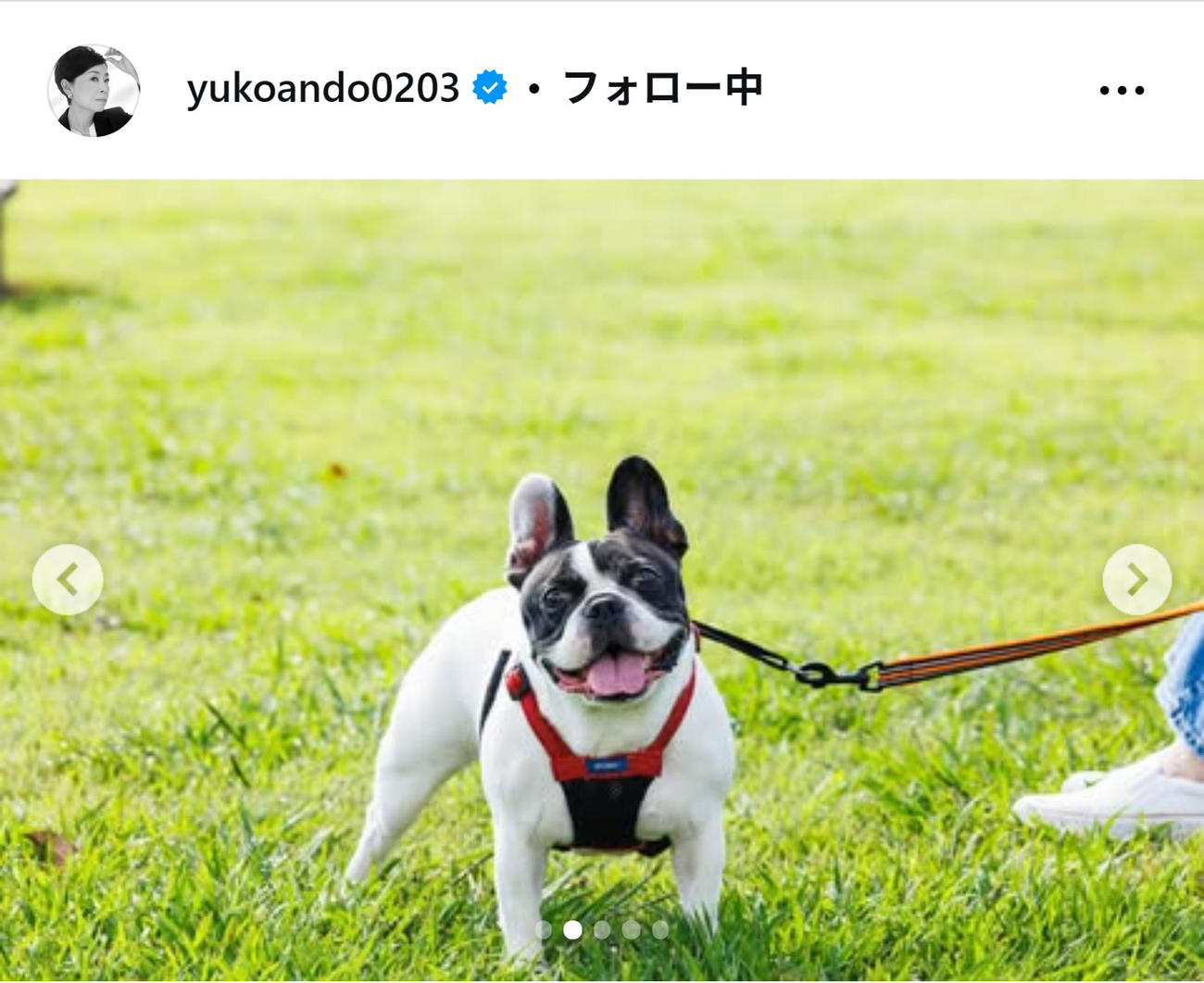 安藤優子氏のインスタグラムから
