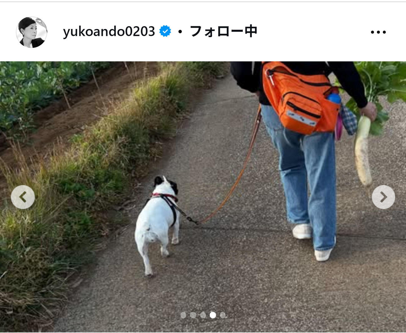 安藤優子氏のインスタグラムから