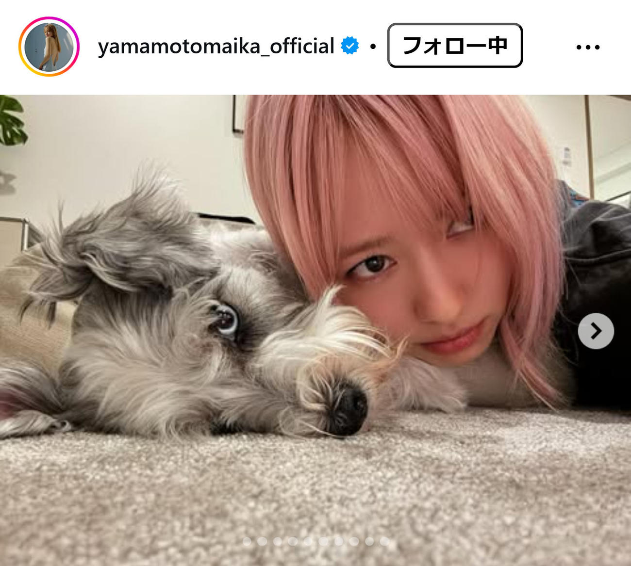 山本舞香のインスタグラムから