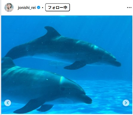 上西怜のインスタグラムから