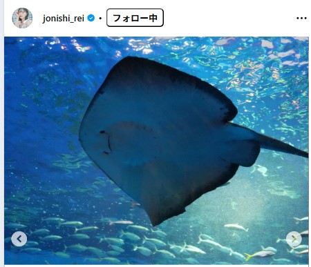 上西怜のインスタグラムから