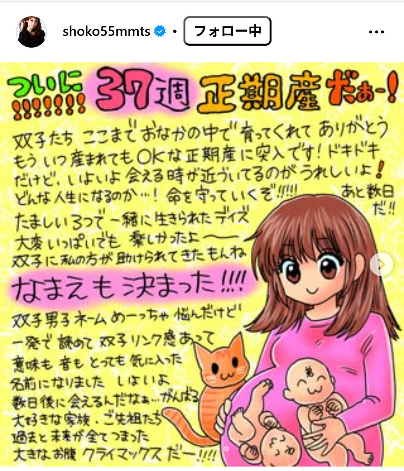 中川翔子のインスタグラムから