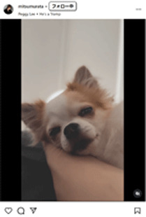 村田充のインスタグラムから