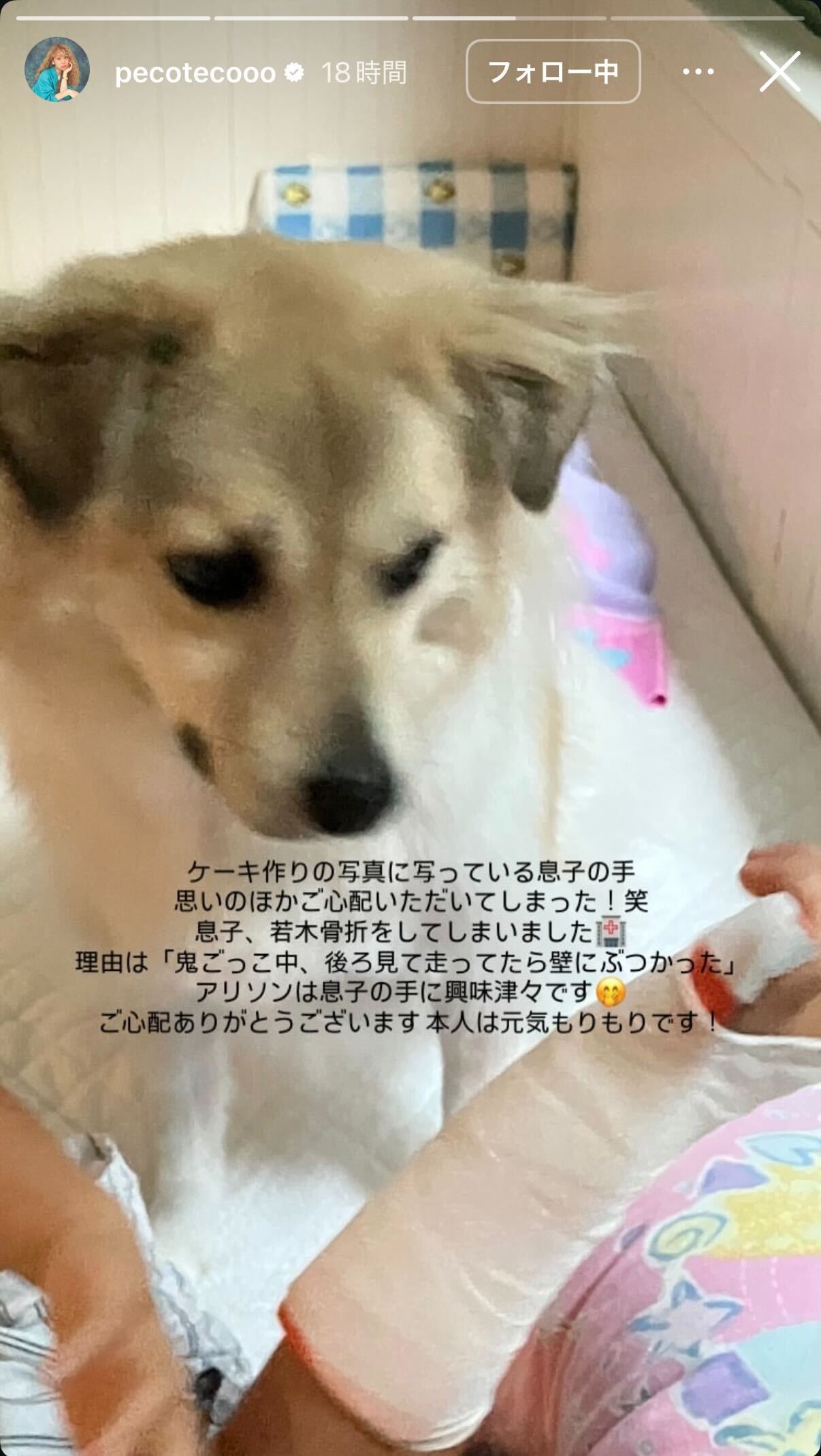 pecoのインスタグラムから