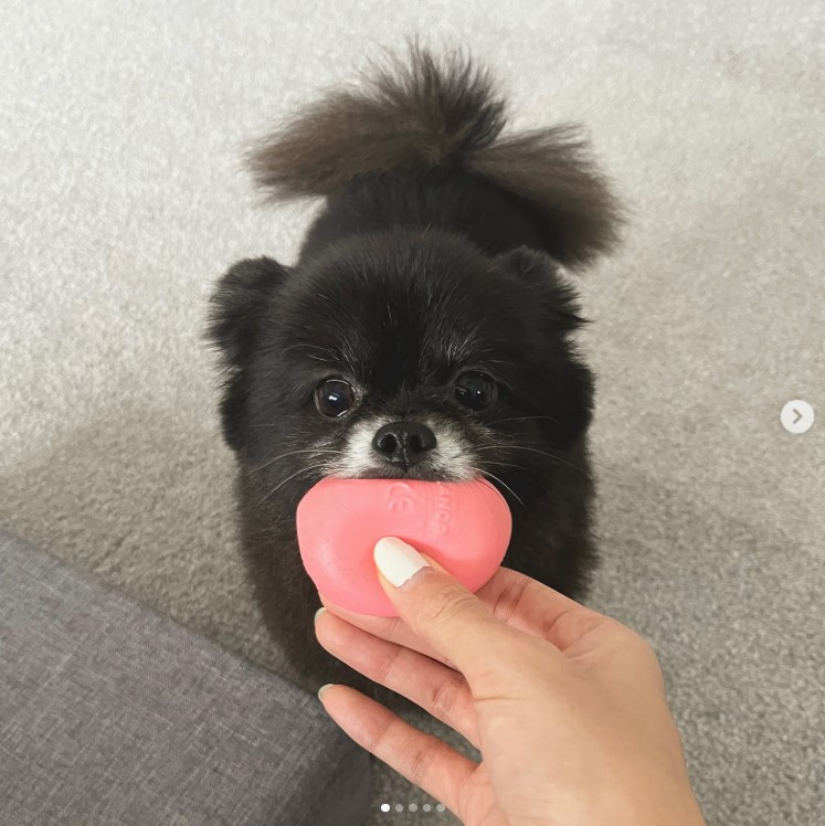 山本美月のインスタグラムから