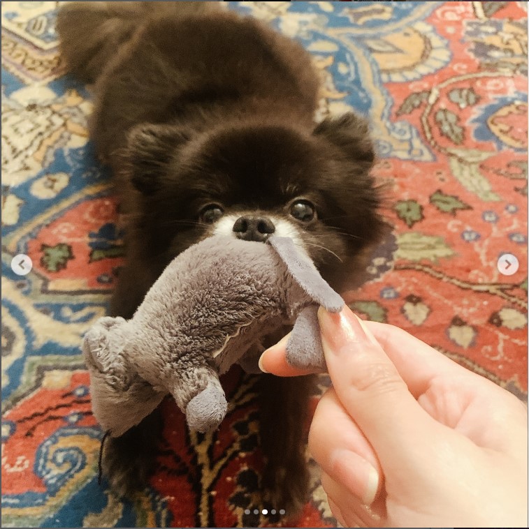 山本美月のインスタグラムから