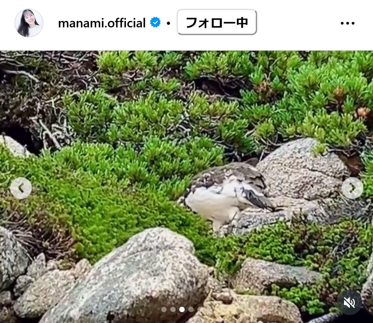 小西真奈美のインスタグラムから