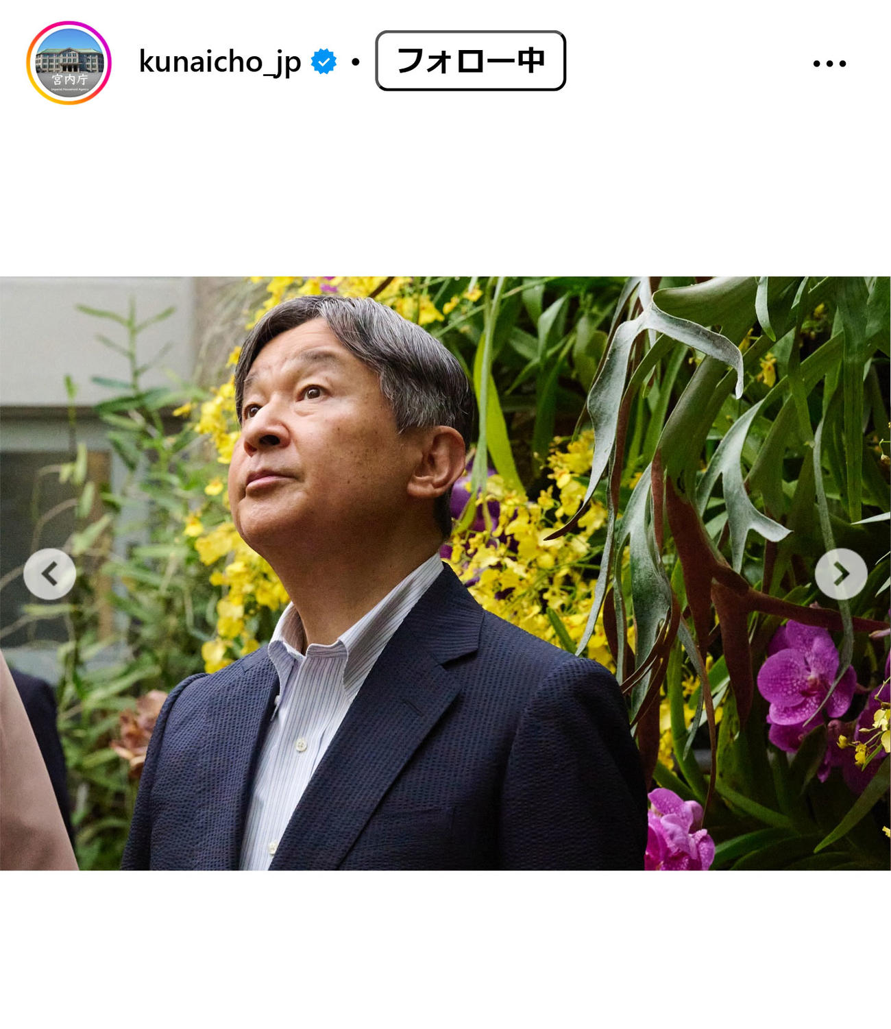宮内庁の公式インスタグラムから