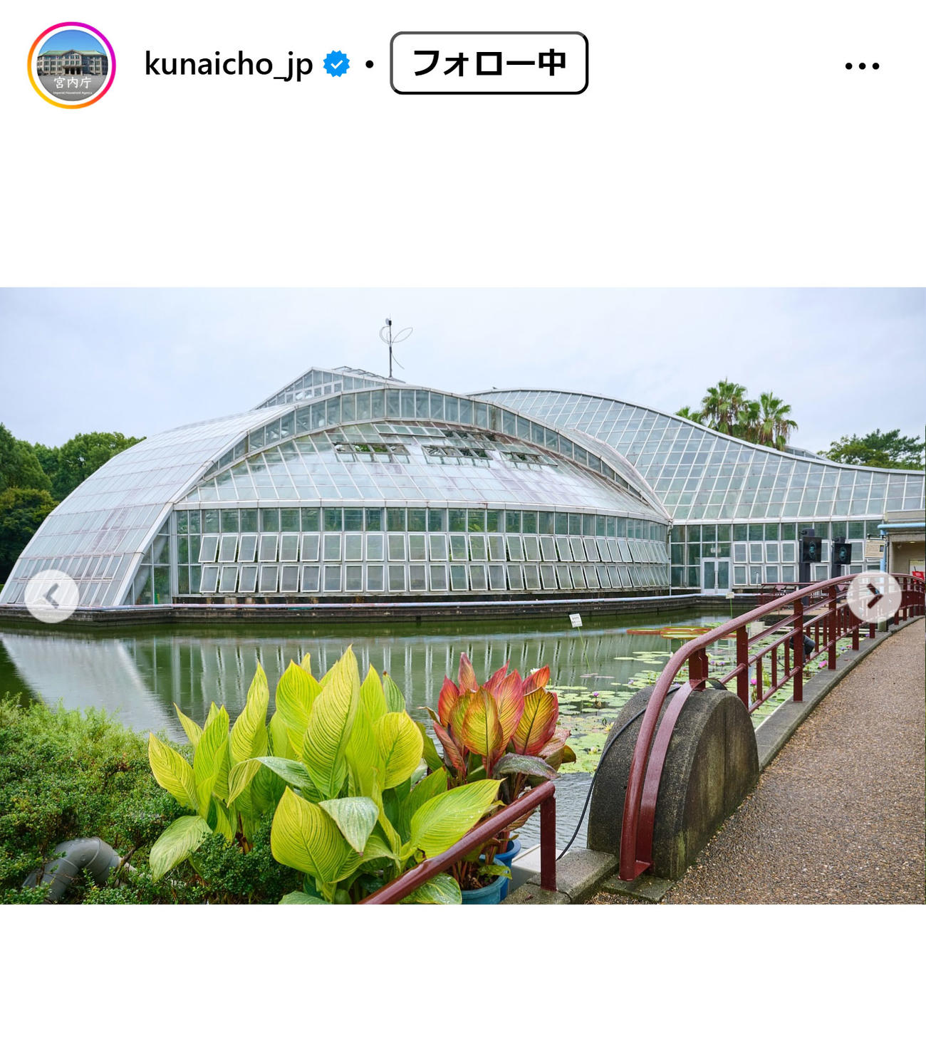 宮内庁の公式インスタグラムから