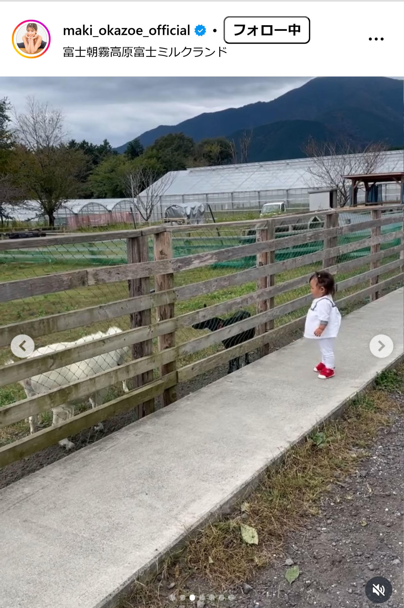 岡副麻希のインスタグラムから