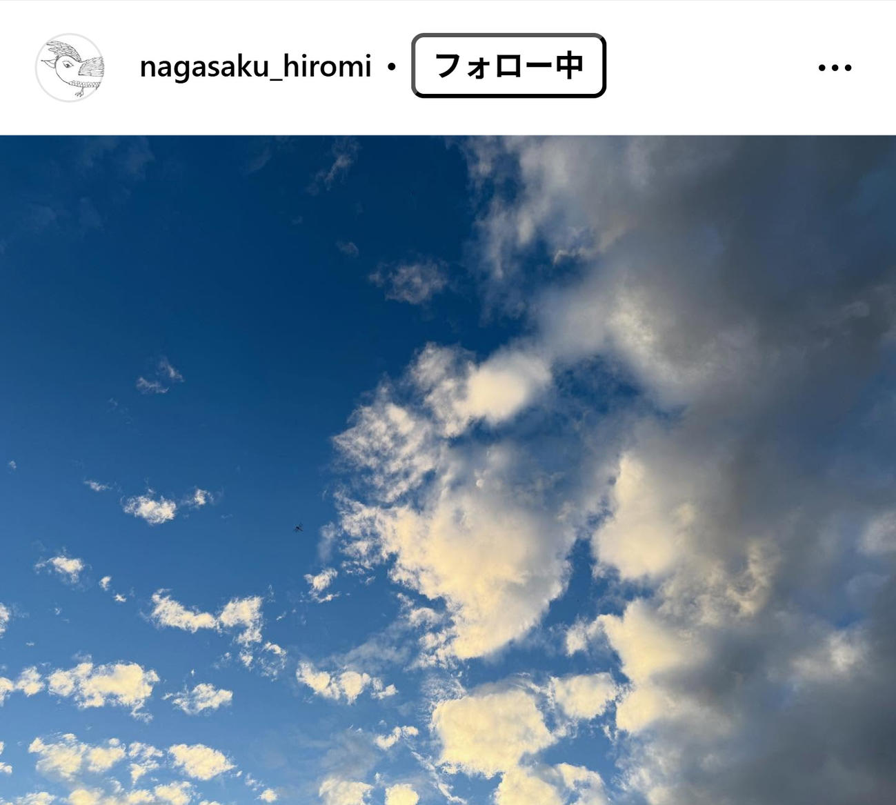 永作博美のインスタグラムから
