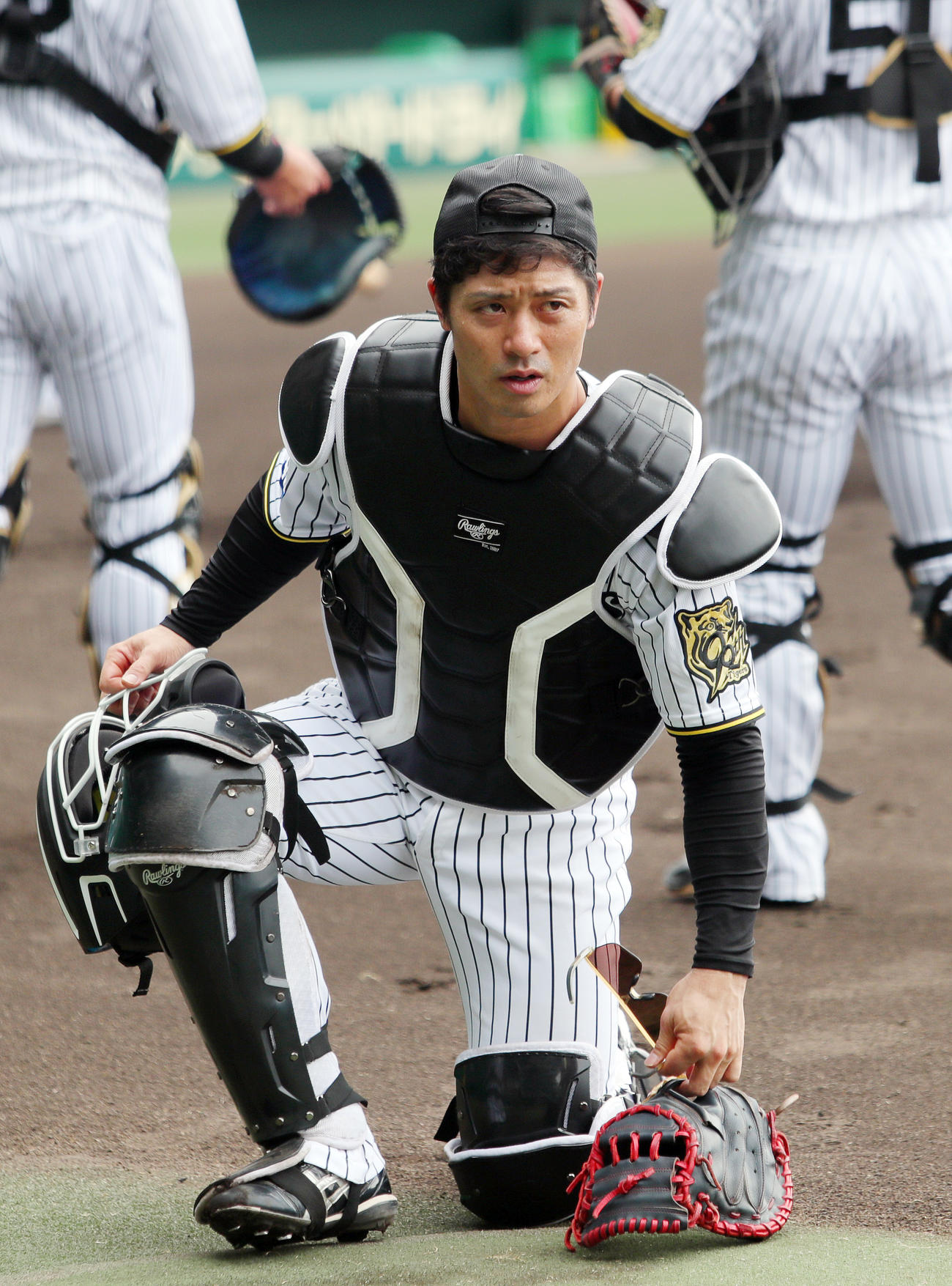 阪神坂本誠志郎（25年９月）