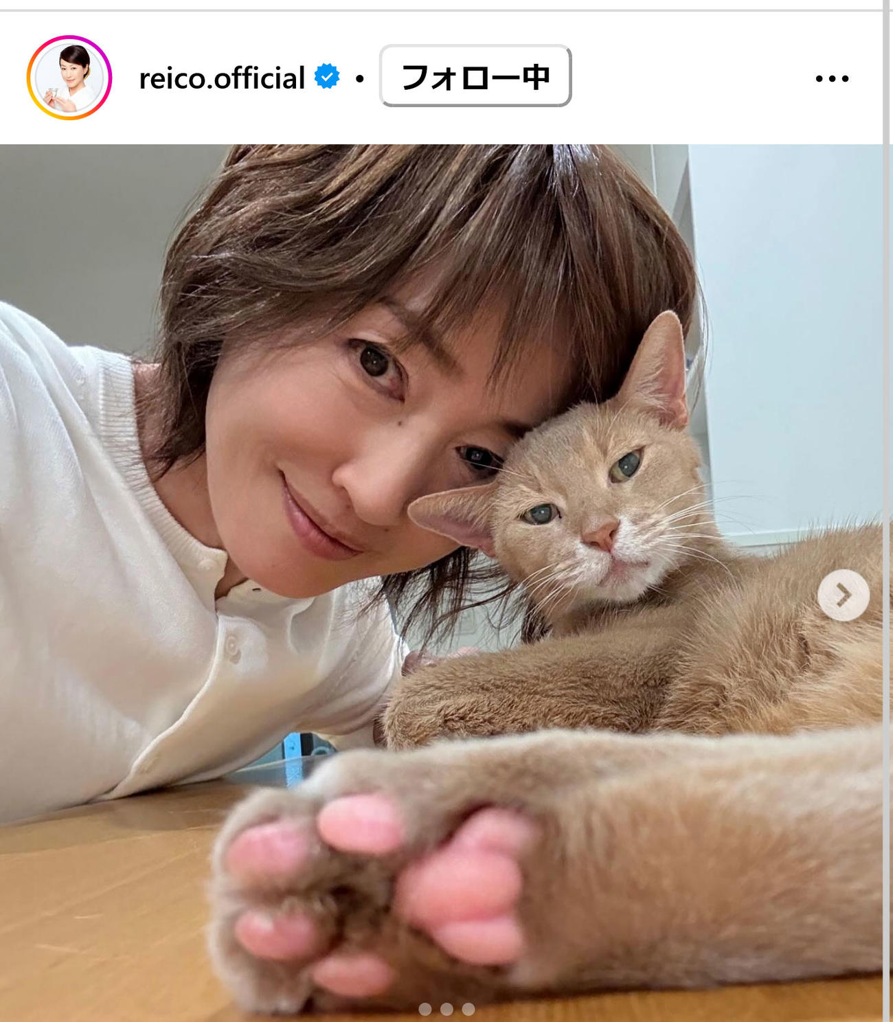 高島礼子のインスタグラムから