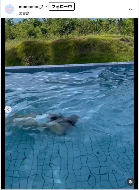 新山桃子のインスタグラムから