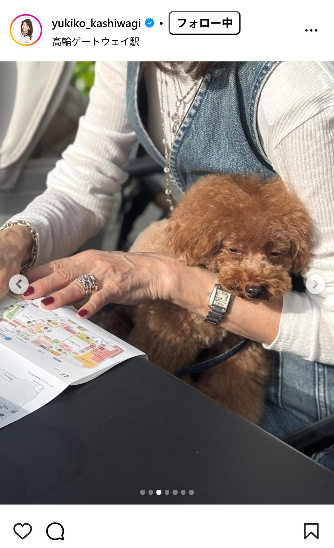 柏木由紀子のインスタグラムから