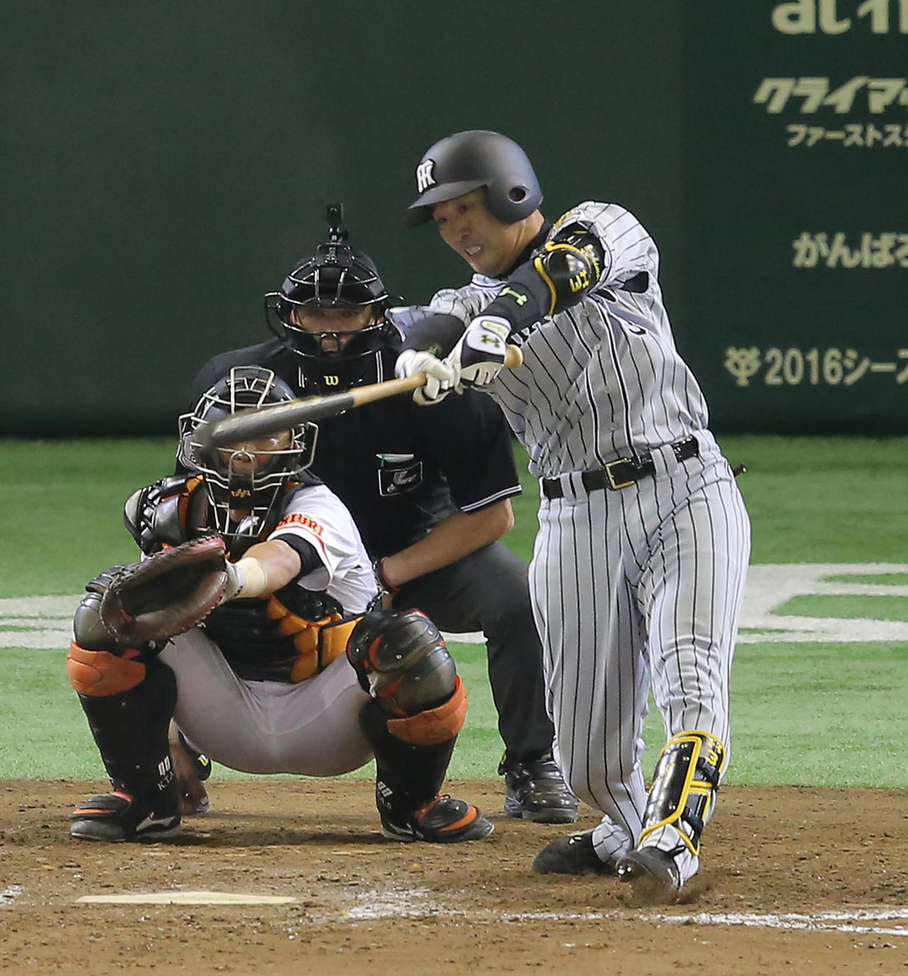 阪神時代の関本賢太郎氏（2015年10月12日撮影）
