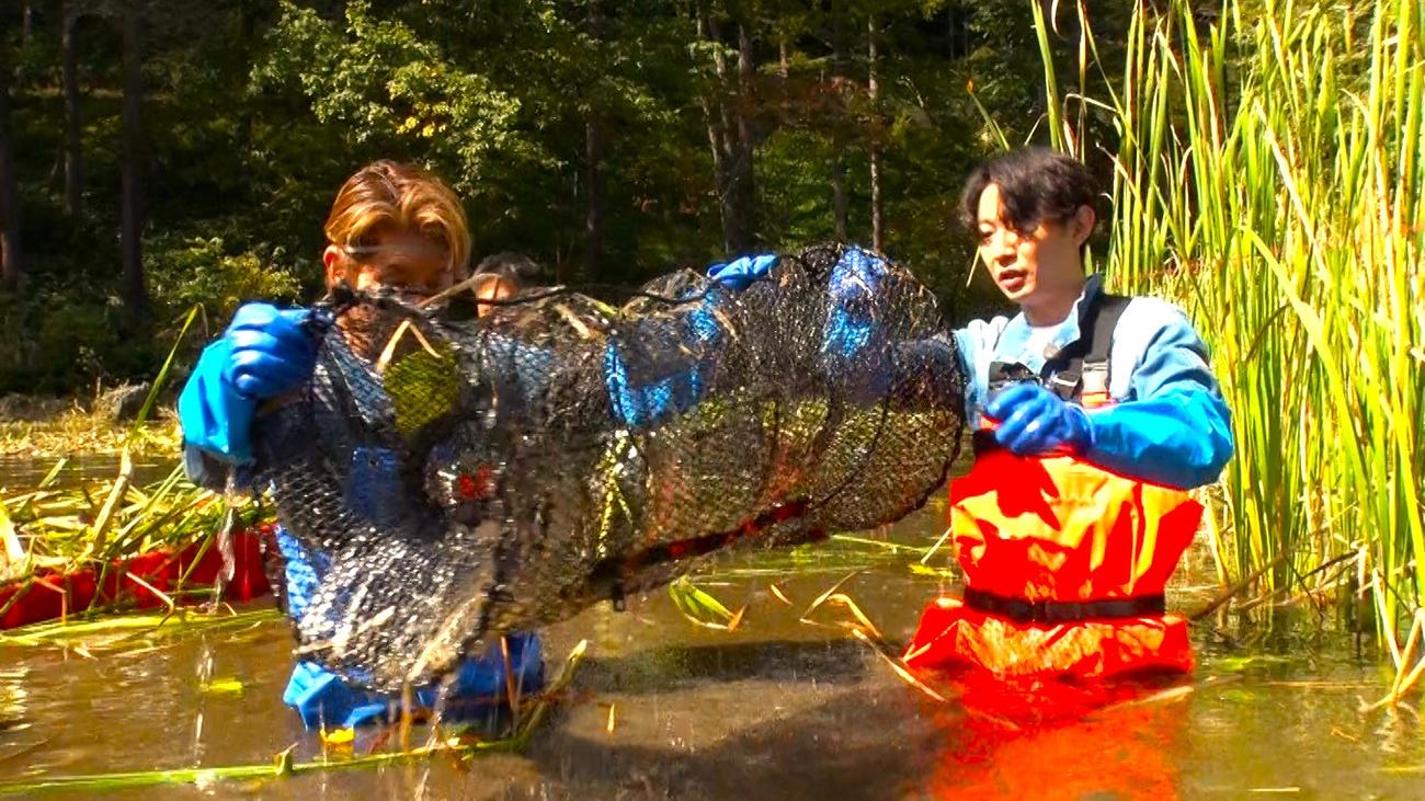「相葉ヒロミのお困りですカー？」初回放送の1シーン