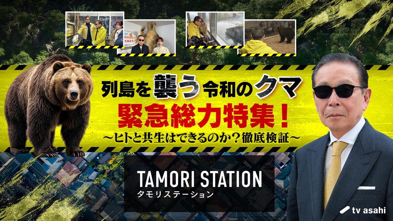 タモリステーションの最新作ではクマを緊急総力特集する