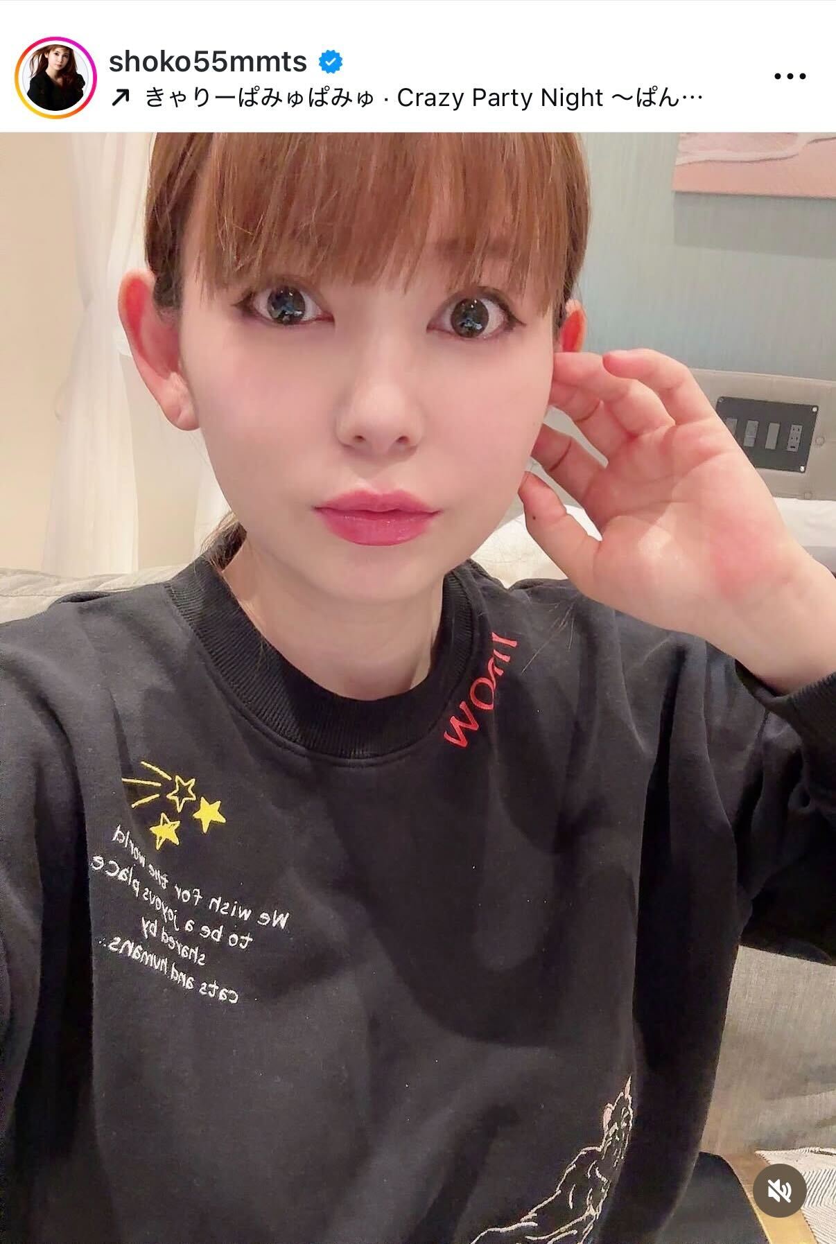 中川翔子のインスタグラムから