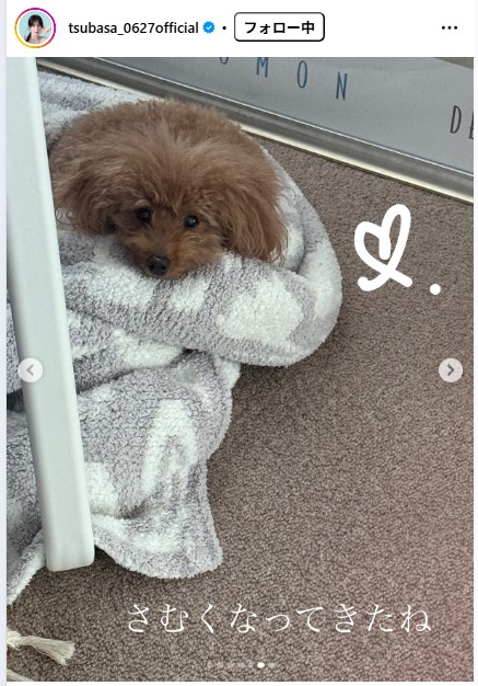 本田翼のインスタグラムから