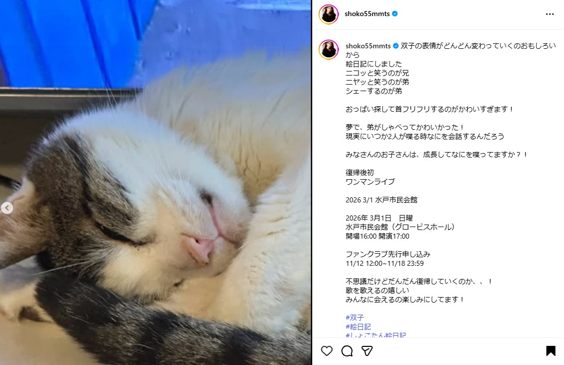 中川翔子のインスタグラムから