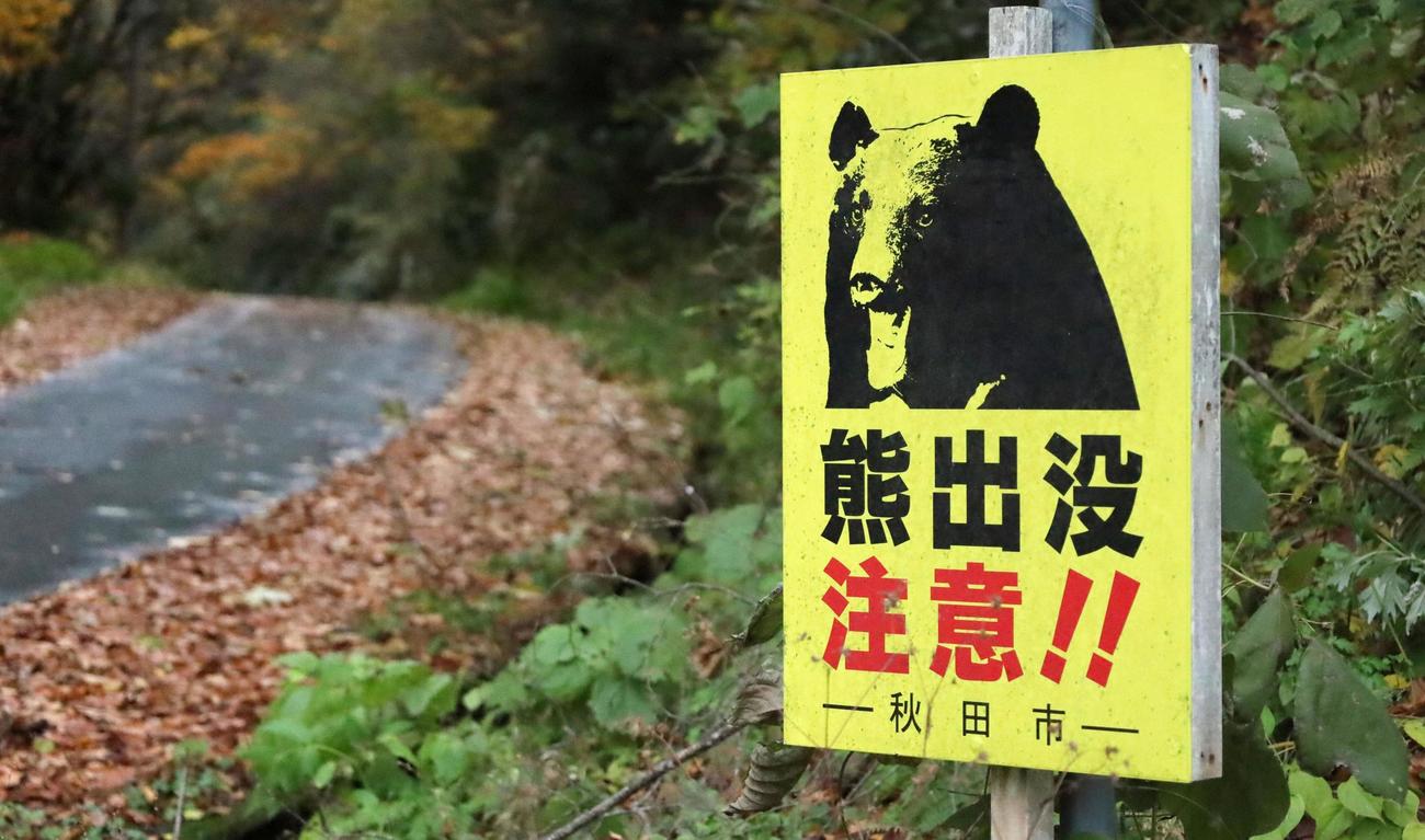 秋田市の林道でクマへの注意を呼びかける看板（共同）