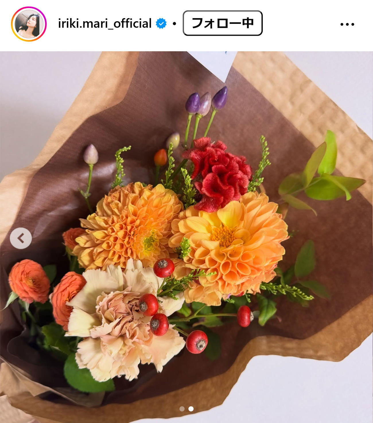 入来茉里のインスタグラムから