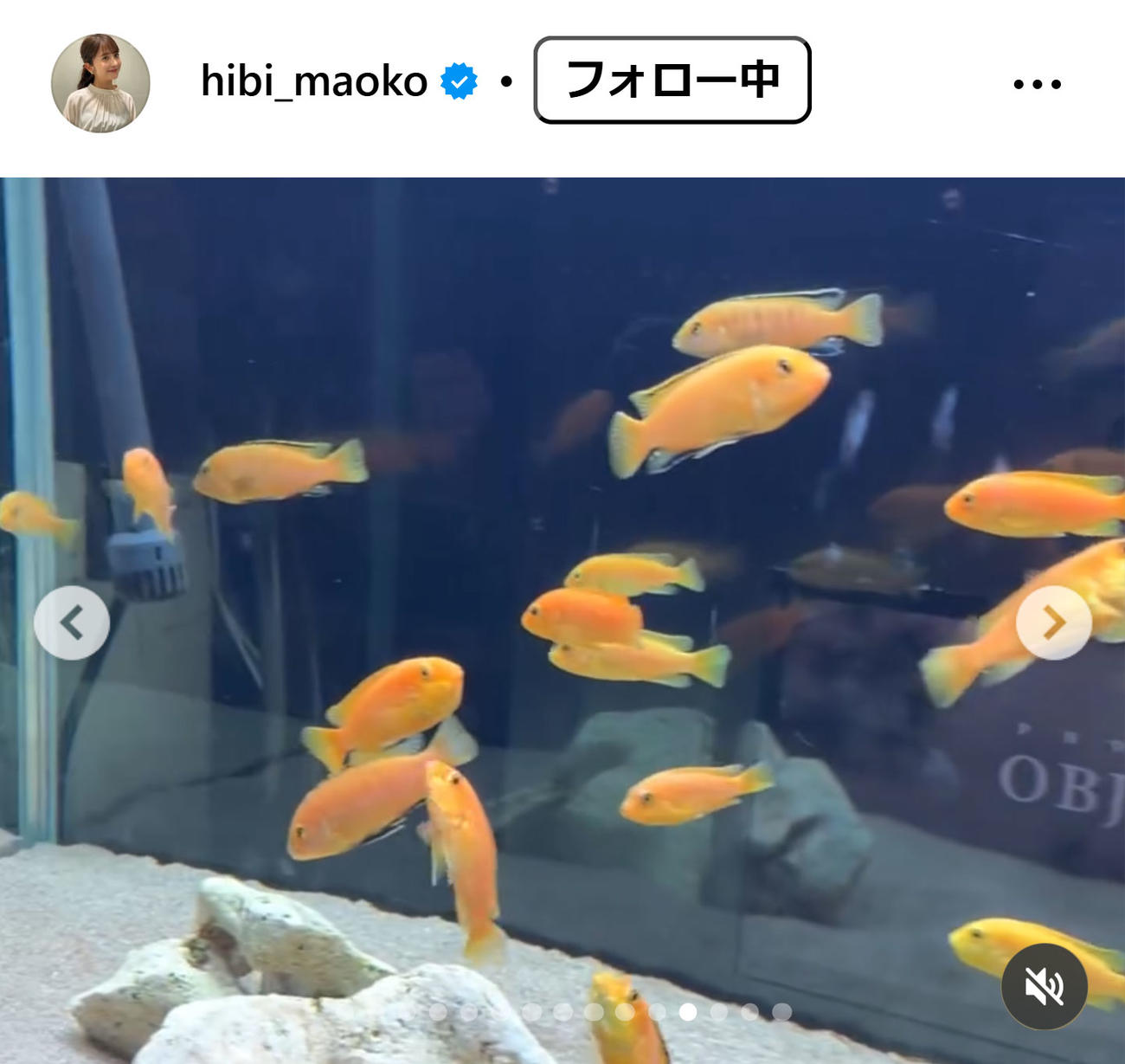 日比麻音子アナのインスタグラムから