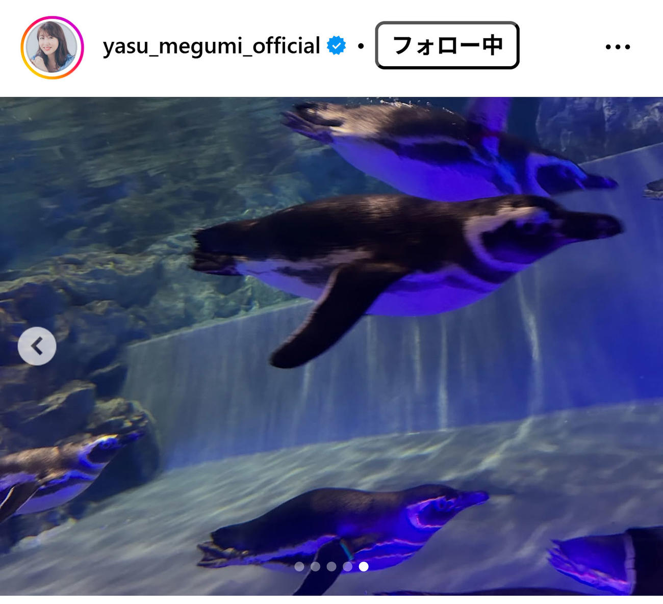 安めぐみのインスタグラムから